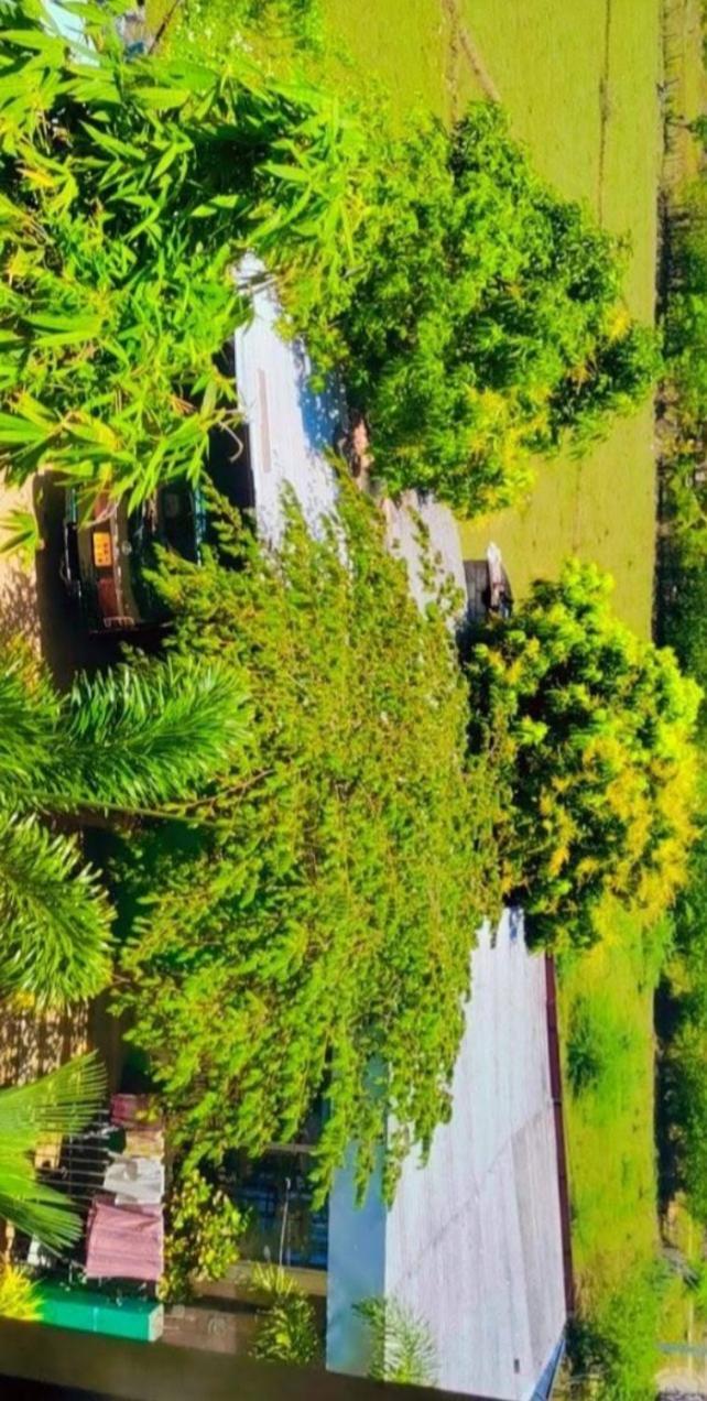 Bundala Swan Cottages Hambantota Exterior foto